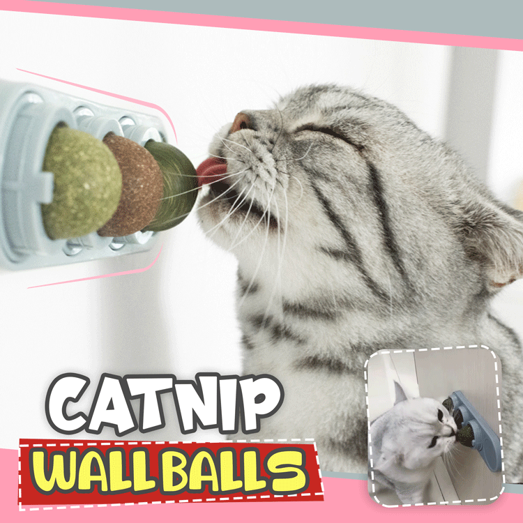 Catnip Wall Balls