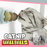 Catnip Wall Balls