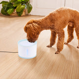 Automatic Electric LED Fountain Pet Drinking Water Dispenser