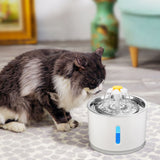 Automatic Electric LED Fountain Pet Drinking Water Dispenser