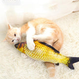 Realistic Looking Cat Fish Toy