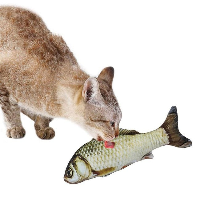 Realistic Looking Cat Fish Toy