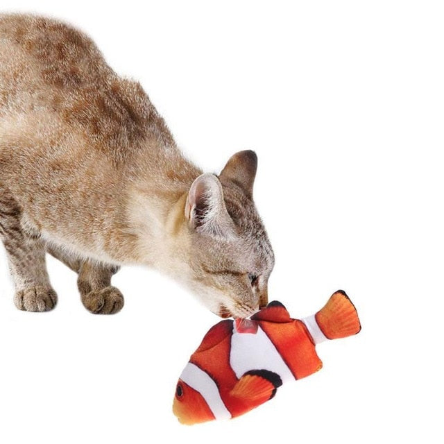 Realistic Looking Cat Fish Toy