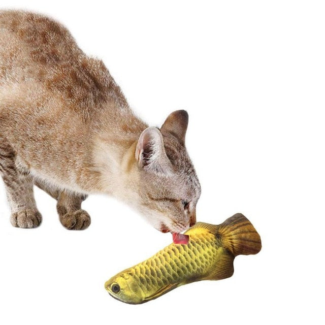 Realistic Looking Cat Fish Toy