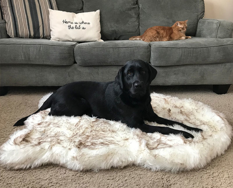 Faux Fur Orthopedic Dog Bed