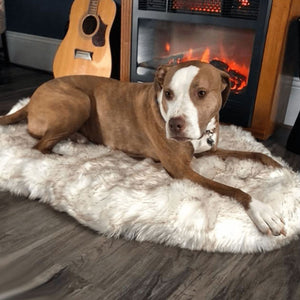 Faux Fur Orthopedic Dog Bed