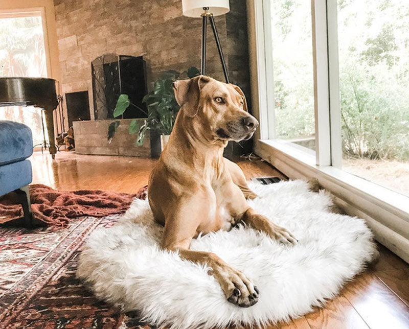 Faux Fur Orthopedic Dog Bed