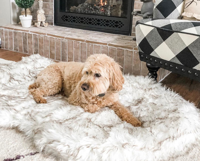 Faux Fur Orthopedic Dog Bed