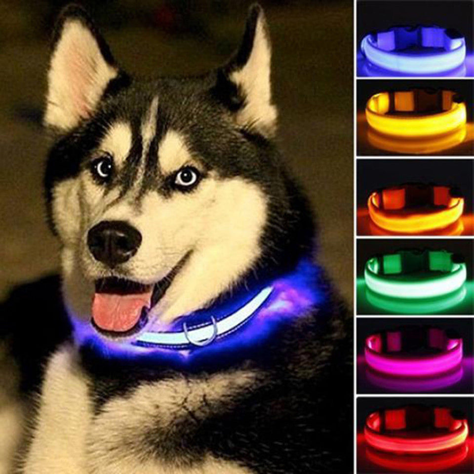 LED Pet Dog Collar