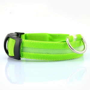 LED Pet Dog Collar