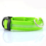 LED Pet Dog Collar