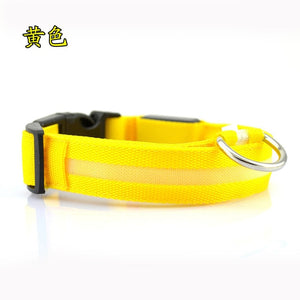 LED Pet Dog Collar