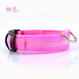 LED Pet Dog Collar