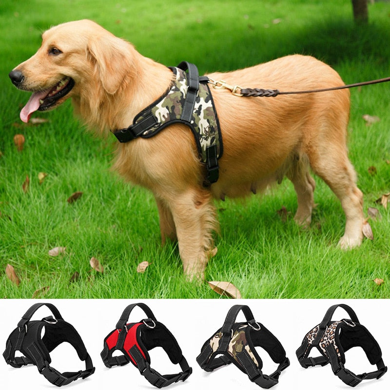 Adjustable Pet Harness