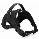 Adjustable Pet Harness